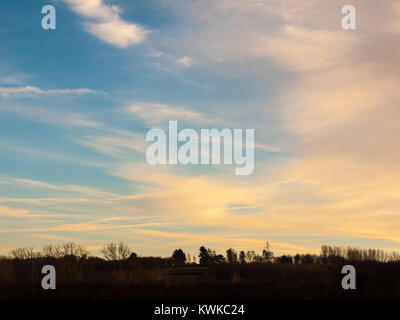 blue countryside sky with trees horizon empty space nature; essex; england; uk Stock Photo