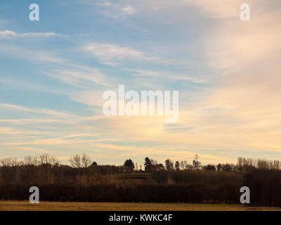blue countryside sky with trees horizon empty space nature; essex; england; uk Stock Photo