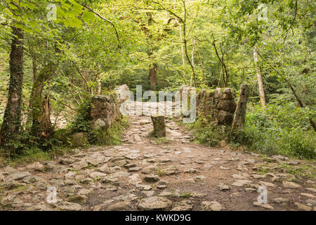 An image of an ancient stone bridge in Dartmoor National Park, Devon, England, UK Stock Photo