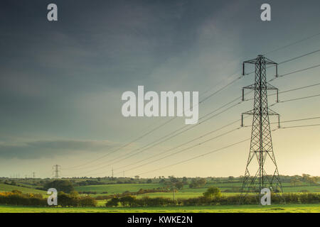 Electricity lines carrying power across the countryside of England as the evening sun begins to set. Stock Photo