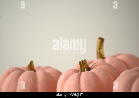 Blush pink pumpkins with gold stems on a solid colour background with copy space Stock Photo