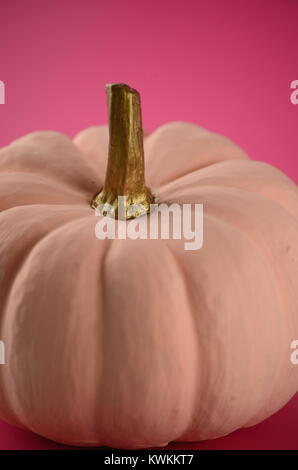 Blush pink pumpkins with gold stems on a solid colour background with copy space Stock Photo