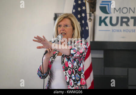 Davenport, Iowa, USA. 20th Aug, 2017. Gubernatorial candidate Andy McGuire speaks at the Duck Creek Lodge in Davenport on Sunday, August 20, 2017. Scott County Democrats held their summer picnic with four candidates for Iowa governor in attendance. Credit: Andy Abeyta, Quad-City Times/Quad-City Times/ZUMA Wire/Alamy Live News Stock Photo