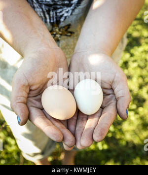 Davenport, Iowa, USA. 20th Sep, 2016. Lindsay O'Brien holds out two fresh eggs from the day while standing next to her chicken coop at her home in Rock Island on Tuesday, September 20, 2016. Lindsay O'Brien has been one of the Rock Island residents at the forefront of the urban chicken movement. She has two hens herself and was told by the city she needed to get rid of them. After East Moline approved allowing urban chickens, Rock Island has progressed to the point where the city council is voting on the matter again. Credit: Andy Abeyta/Quad-City Times/ZUMA Wire/Alamy Live News Stock Photo
