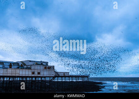 Aberystwyth Wales UK, Thursday 04 January 2018 UK Weather: As the weather turns colder after Storm Eleanor, Flocks of tens of thousands of starlings return from their feeding grounds to perform their murmurations in the sky before descending to roost underneath Aberystwyth's distinctive seaside pier The birds huddle tightly together for warmth, safety and overnight companionship, covering every spare inch of the forest of girders and beams under the floors of the pier. photo Credit: Keith Morris/Alamy Live News Stock Photo