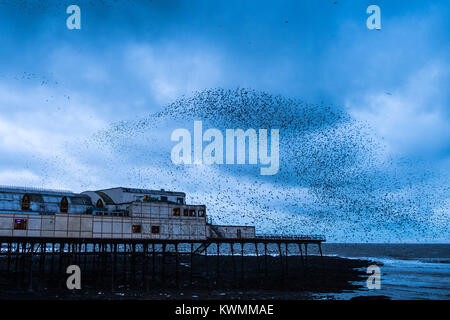 Aberystwyth Wales UK, Thursday 04 January 2018 UK Weather: As the weather turns colder after Storm Eleanor, Flocks of tens of thousands of starlings return from their feeding grounds to perform their murmurations in the sky before descending to roost underneath Aberystwyth's distinctive seaside pier The birds huddle tightly together for warmth, safety and overnight companionship, covering every spare inch of the forest of girders and beams under the floors of the pier. photo Credit: Keith Morris/Alamy Live News Stock Photo