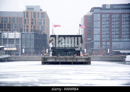 Washington, USA. 04th Jan, 2017. The Wharf Dockmaster Building on the Southwest Waterfront in Washington DC stands on a pier surrounded by the ice-filled Potomac River. Freezing temperatures and high winds have kept many workers and local residents inside out of the inclement weather. Photo taken near Hains Point on January 4, 2018 around 11 am. Credit: Angela Drake/Alamy Live News Stock Photo