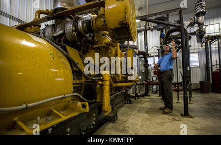 Davenport, Iowa, USA. 7th July, 2017. Farmer Bryan Sievers checks readouts on his caterpillar generator which produces roughly enough electricity for 700 homes from energy that comes from his digesters at the AgriReNew farm in Stockton on Friday, July 7, 2017. Sievers is growing winter wheat as a cover crop and is allowing it to mature to be harvested for a few different purposes. Credit: Andy Abeyta, Quad-City Times/Quad-City Times/ZUMA Wire/Alamy Live News Stock Photo