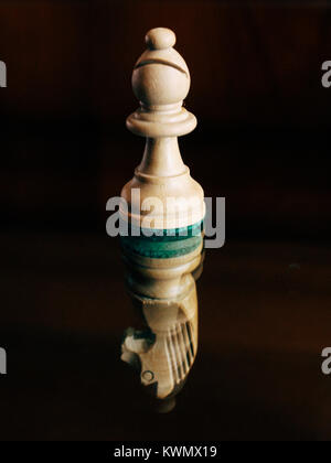 Bishop and knight chess pieces reflection Stock Photo