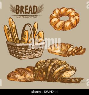 Digital color vector detailed line art baguettes in wooden basket, braided bread, slices hand drawn illustration set. Thin pencil artistic outline. Vi Stock Vector