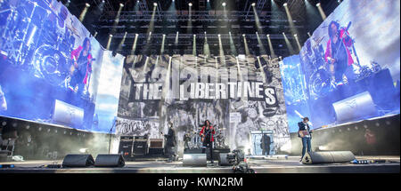The English rock band The Libertines performs a live concert at the Main Stage at the Barclaycard British Summer Time festival at Hyde Park in London. UK 05.07.2014. Stock Photo