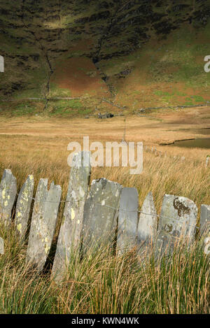 Traditional slate fencing at Cwmorthin quarry near Blaenau Ffestiniog, North Wales. Stock Photo