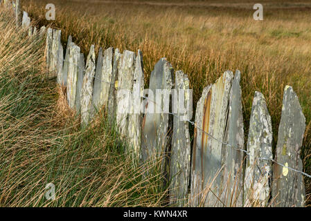 Traditional slate fencing at Cwmorthin quarry near Blaenau Ffestiniog, North Wales. Stock Photo