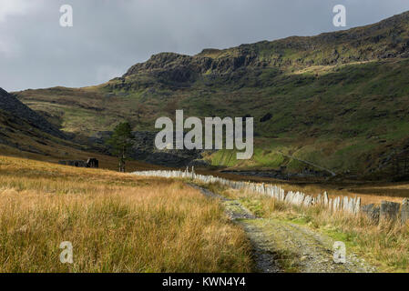 Traditional slate fencing at Cwmorthin quarry near Blaenau Ffestiniog, North Wales. Stock Photo