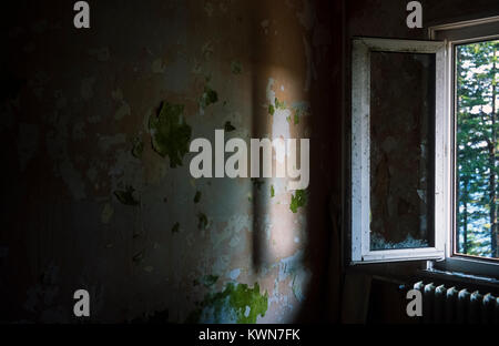Derelict hostel near Hornisgrinde Mummelsee Black Forest Baden-Württemberg Germany Stock Photo