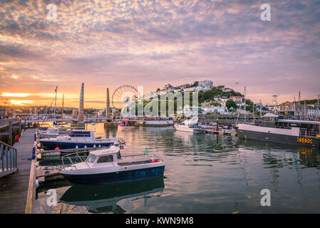 Torquay harbour at sunset. Panoramic view of the popular seaside resort town during a colorful sunset. Devon, England Stock Photo