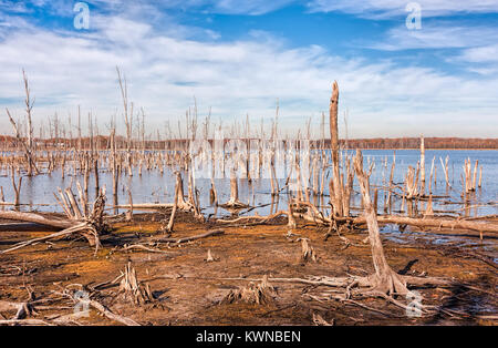 A lake and dead, fallen trees. Land that was once covered by water from the lake is now exposed. Stock Photo