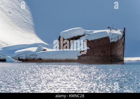 Norweigan whaling shipwreck; Gouvenoren; Enterprise Island; Antarctica Stock Photo