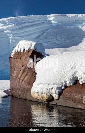 Norweigan whaling shipwreck; Gouvenoren; Enterprise Island; Antarctica Stock Photo