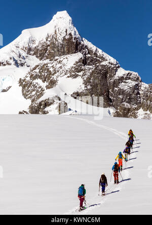 Ski mountaineers roped together for safety from crevasses use synthetic skins on skis to climb uphill; Rongé Island; Arctowski Peninsula; Antarctica Stock Photo