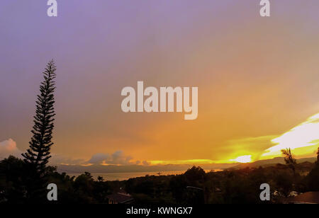 Beautiful orange sunrise with pine tree in the foreground. Stock Photo