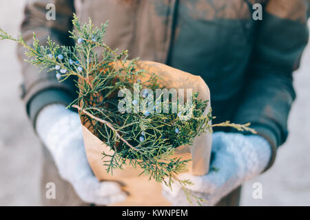 Paper bag with spruce branches in female hands Stock Photo