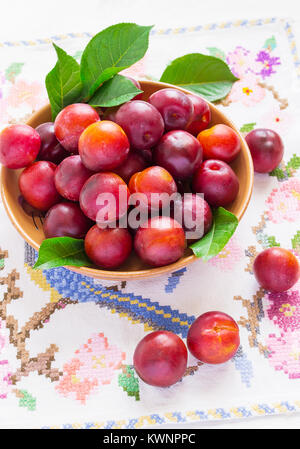 Organic ripe plums from a rural garden Stock Photo