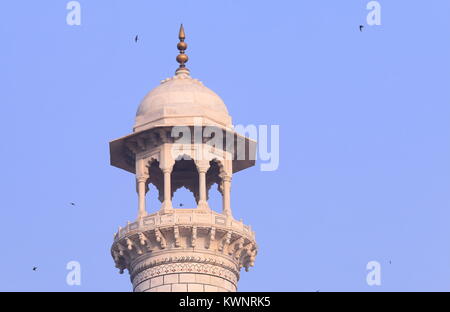 Iconic architecture Taj Mahal pillar Agra India Stock Photo