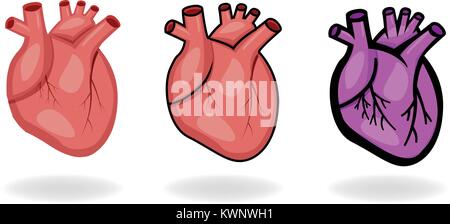 Set of human heart icons in flat style, vector design Stock Vector