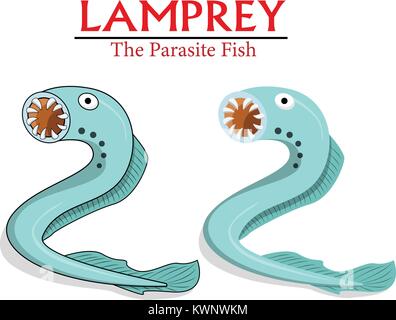 Lamprey ,The  Parasite Fish in vector cartoon design Stock Vector