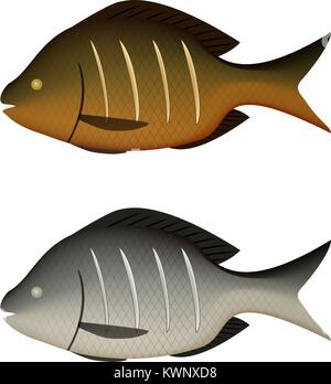 Boiled and fried fish on white in 3D vector design Stock Vector
