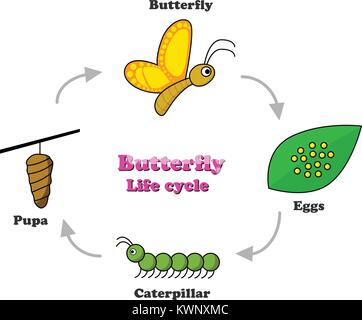 Caterpillar in cartoon style, education game for the development of ...