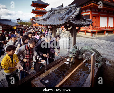 License and prints at MaximImages.com - People washing hands and mouth at chozubachi, water ablution pavilion, basin for a cleansing ritual, chozuya Stock Photo
