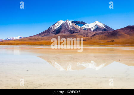 Laguna Canapa is a salt lake in the altiplano of Bolivia Stock Photo