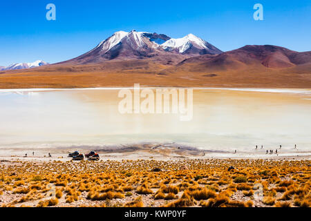 Laguna Canapa is a salt lake in the altiplano of Bolivia Stock Photo