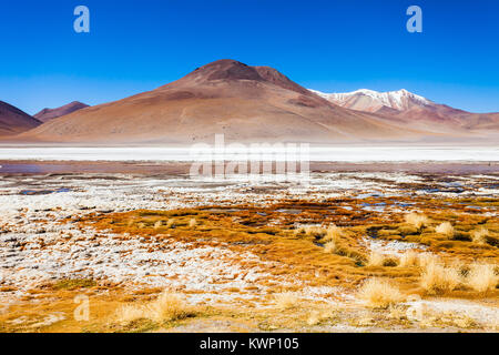 Laguna Honda is a salt lake in the altiplano of Bolivia Stock Photo
