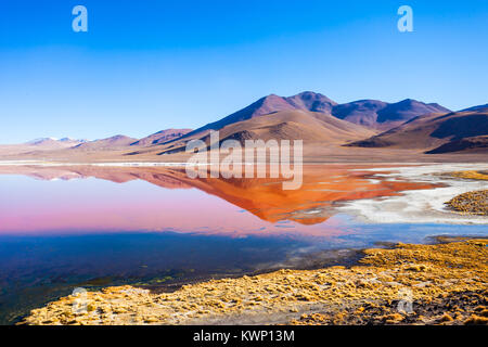 Laguna Colorada, means Red Lake is a shallow salt lake in the southwest of the Altiplano of Bolivia