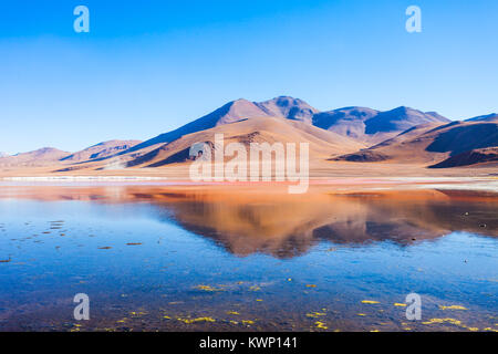 Laguna Colorada, means Red Lake is a shallow salt lake in the southwest of the Altiplano of Bolivia Stock Photo