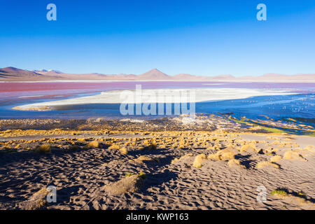 Laguna Colorada (Red Lake) is a most beautiful lake in the Altiplano of Bolivia Stock Photo