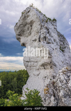 Rocks next to Ogrodzieniec Castle in Podzamcze village, Polish Jura region in Silesian Voivodeship of southern Poland Stock Photo