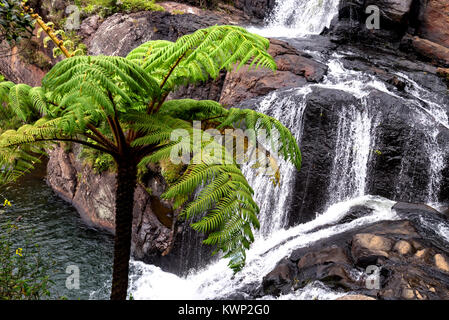 Scenic tropical waterfall in Sri Lanka Stock Photo