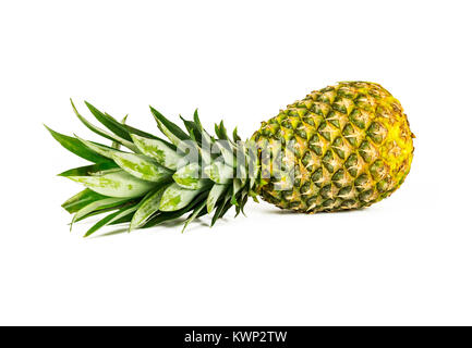 On a white background is a large ripe pineapple Stock Photo