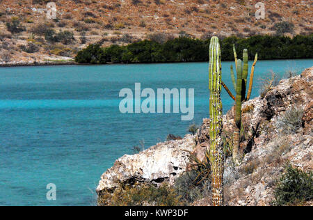 A beautiful panoramic landscape of the BaJa, Mexico coastline. . . where the desert meets the clear blue sea. Stock Photo