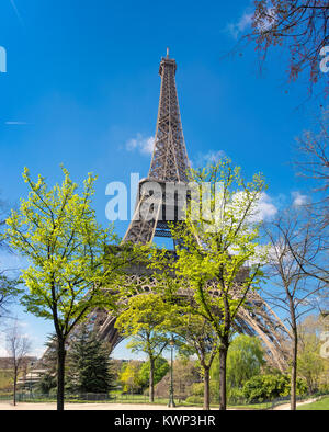 Paris, Eiffel tower on a bright day in Spring with green trees and leaves in front, panoramic image Stock Photo