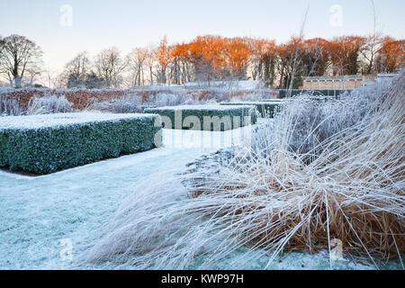 Scampston Walled Garden, North Yorkshire, UK. Winter, December 2017. A four acre contemporary garden designed by Piet Oudolf. Stock Photo