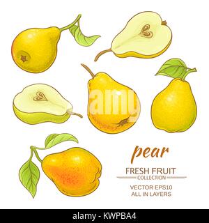 fresh pears vector set on white background Stock Vector