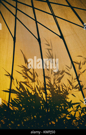 A back lit silhouette shadow of bamboo on the canvas of a parasol. Stock Photo
