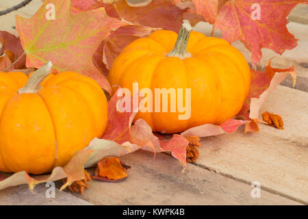Fall pumpkins and leaves on wood floor Stock Photo