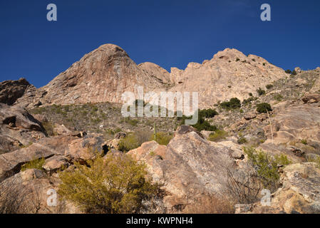 Hohokam Indian petroglyphs and Saguaro Cactus on Signal Hill Tucson ...