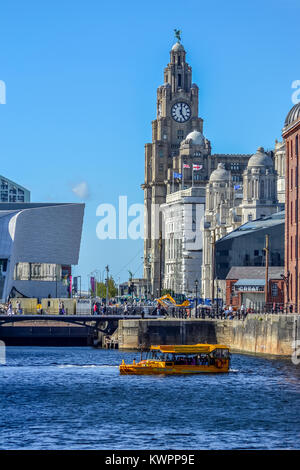 Royal Liver Building and Albert Docks, Liverpool, Merseyside, England, United Kingdom, Europe Stock Photo